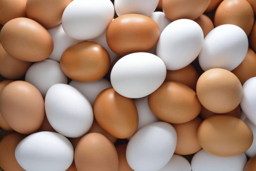 ovos brancos e marrons